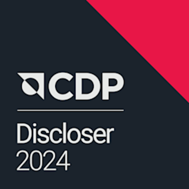 Logo CDP